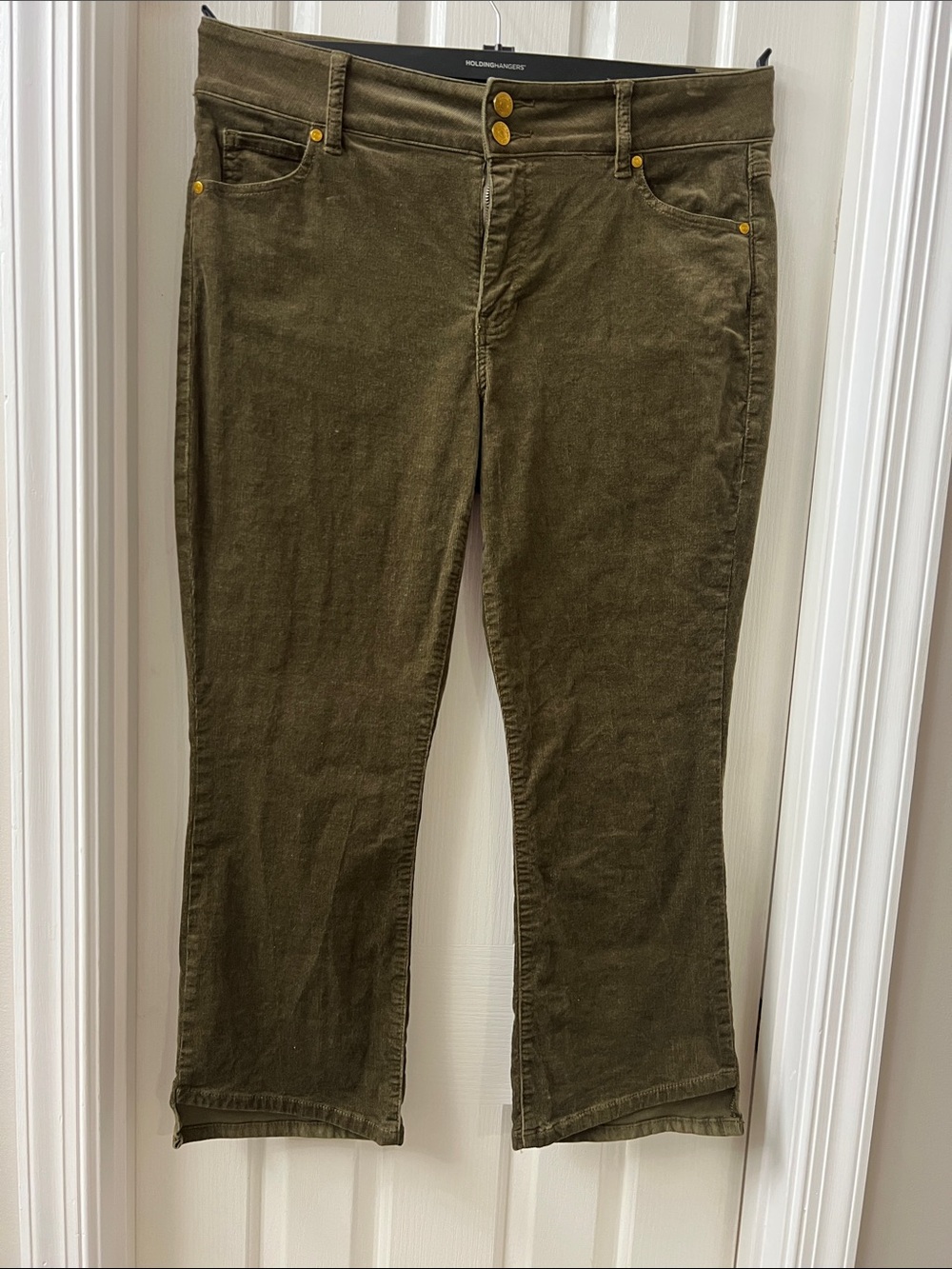 CAbi Olive Green HiLo Crop Pants